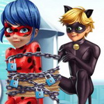 Cat Noir Rescue Ladybug