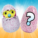 Hatchimal Eggs Online